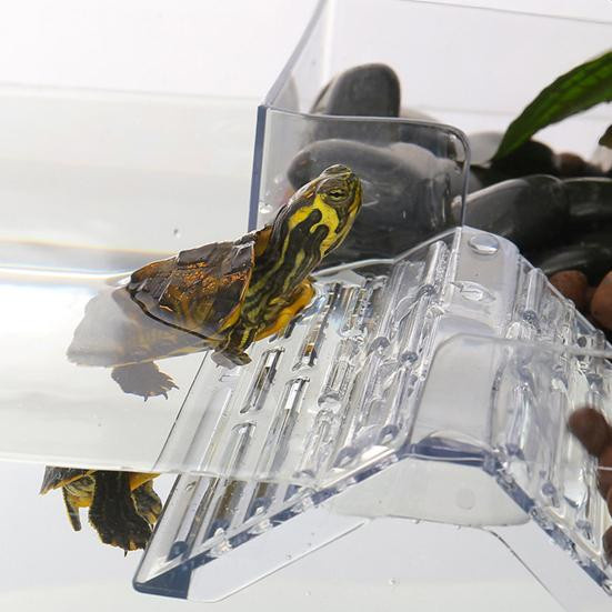 Aiyalei Hängende Sonnenplattform für Schildkröten und Wasserreptilien, Transparentes Schwimmendes Dock als Terrarium-Zubehör - Bild 2