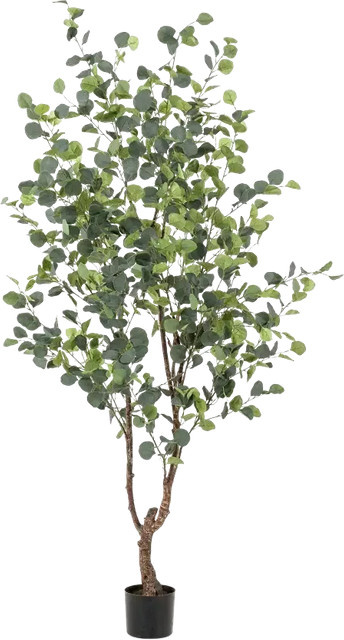 Künstlicher Eucalyptus Baum Christopher von Aplanta, Höhe: 180 cm - Bild 1