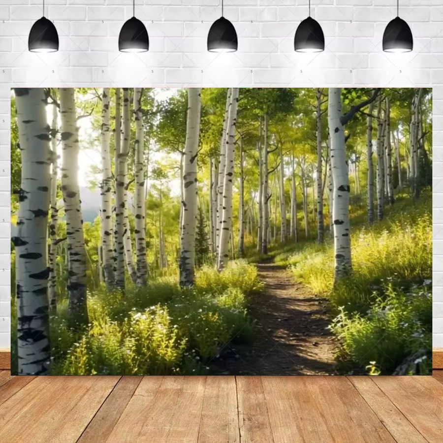 Sunny Trail Fotohintergrund Birke Baum Wald Naturlandschaft - Bild 2
