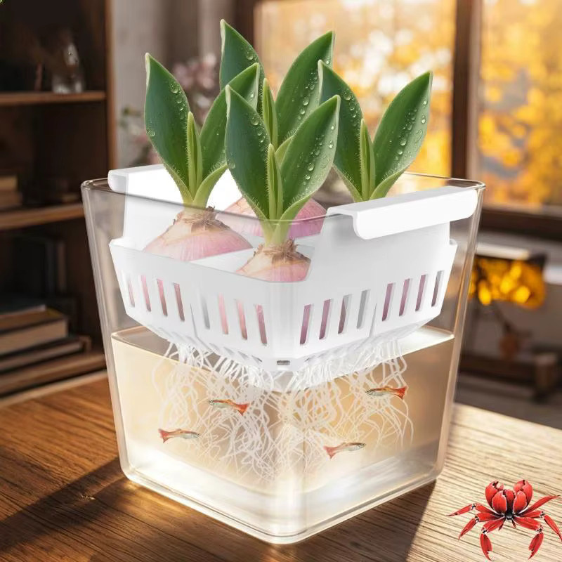 JETTING Hydrokulturbehälter mit atmungsaktivem Stützkorb für Tulpen-Saatgut, 4 Löcher, transparent - Bild 5