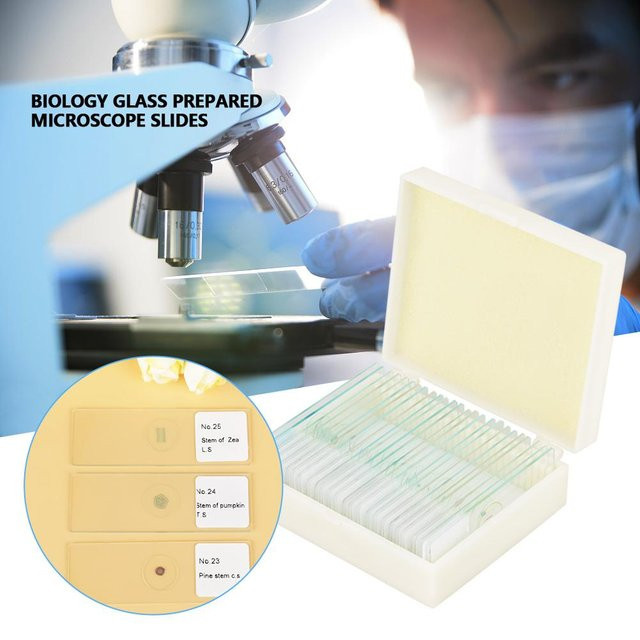 Painter Biologie Glas Präparierte Mikroskop-Objektträger, Laborproben, 25-teiliges Set - Bild 1