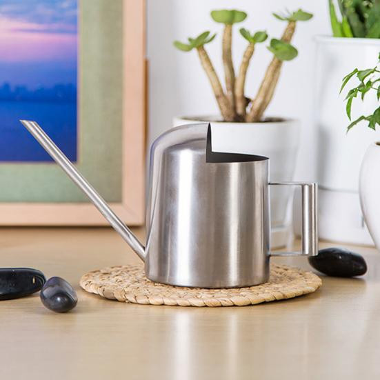 Mini Gießkanne Amusedly aus Edelstahl mit langem Ausgießer für Zimmerpflanzen und Bonsai, Silber, 300 ml - Bild 3