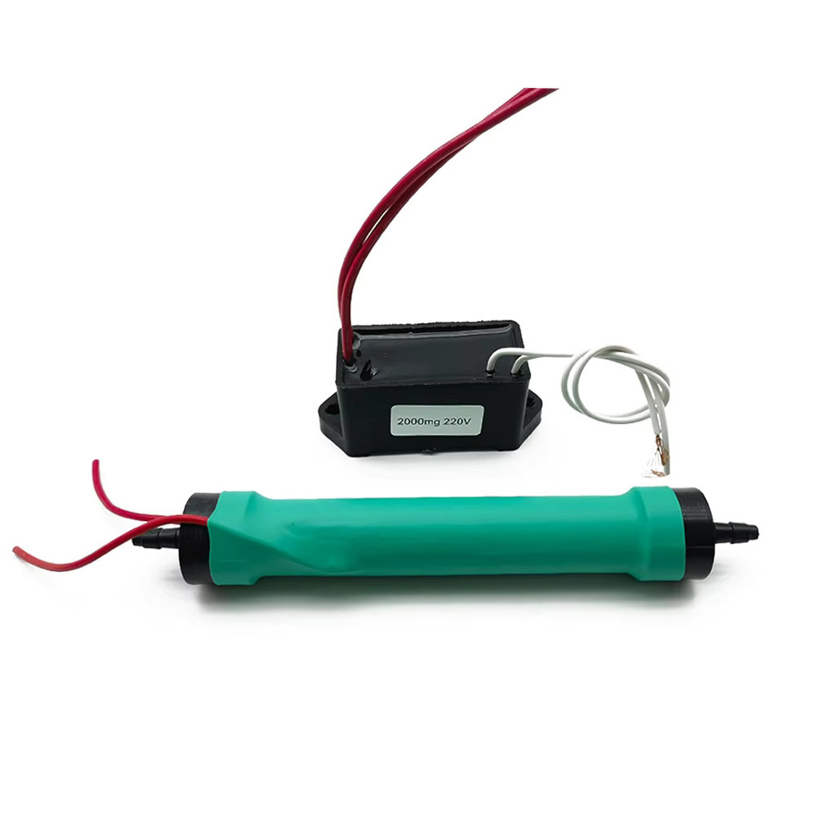 DADAWINDY Ozongenerator 2g zur Sterilisation und Desinfektion als DIY Heimluftreiniger und Wasserpflanzenreiniger in Grün - Bild 2