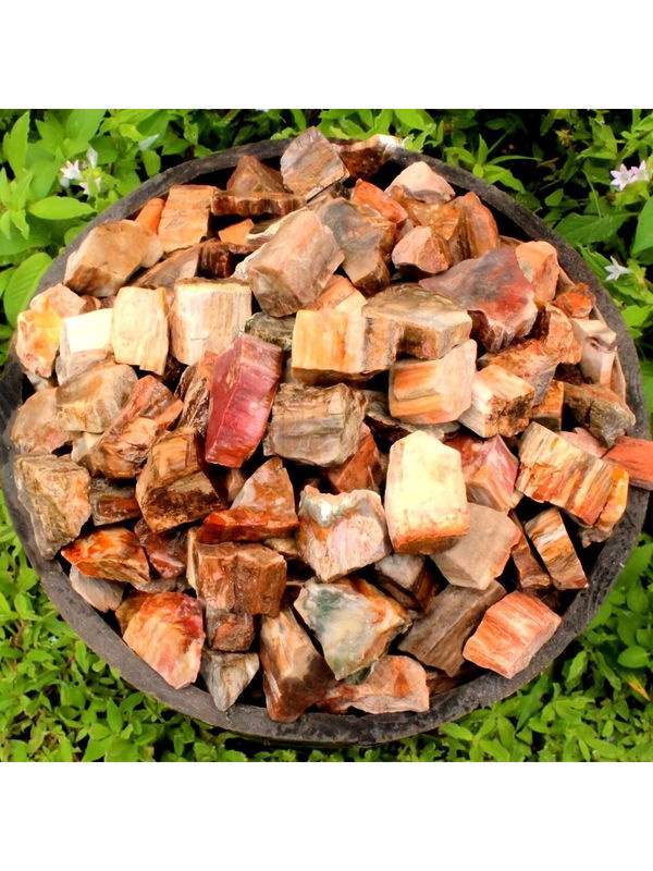 CrystalHola Natürlicher versteinertes Holz Rohstein in Mehrfarbig mit erhaltenen Holzmaserungen und Mineralien für deine Dekoration - Bild 6