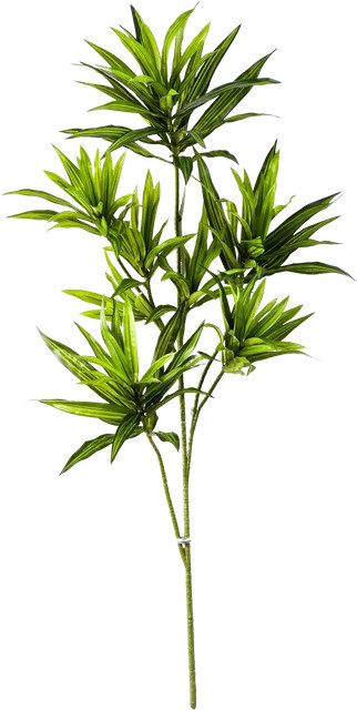 Künstlicher Drachenbaum-Zweig Gian von Aplanta, Höhe: 70 cm - Bild 1