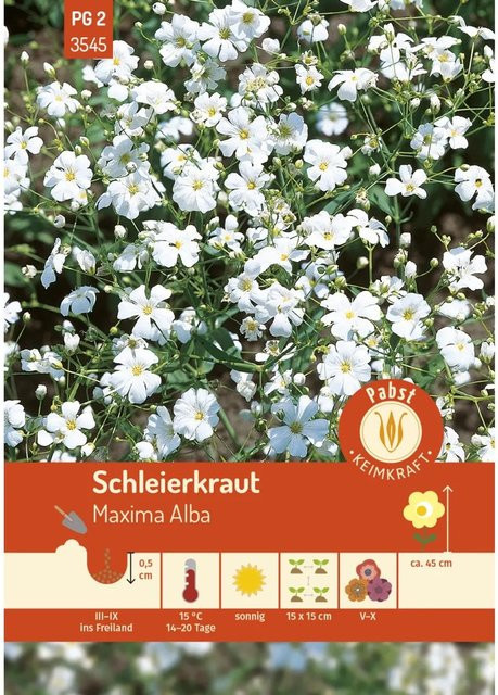 Pabst Keimkraft Schleierkraut Maxima Alba Saatgut für Rabatten, Beete und Blumensträuße - Bild 1