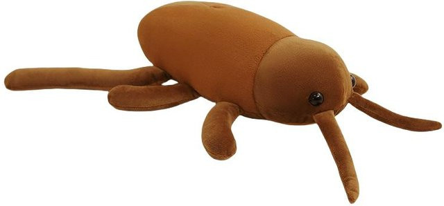 Simulationskakerlake Insekt Tier, Plüschtier Puppe, 55-60cm, ab 14 Jahren - Bild 1