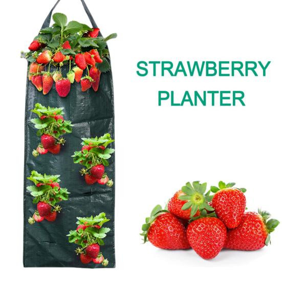 Hängender Pflanzbeutel von jijijing für Tomaten und Erdbeeren zur vertikalen Gartenarbeit auf dem Balkon oder im Hausgarten - Bild 7