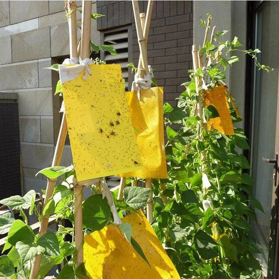 Gelbe klebrige Fliegenfallen zur Bekämpfung von Insekten, Blattläusen und Schädlingen, 10 Stück - Bild 2