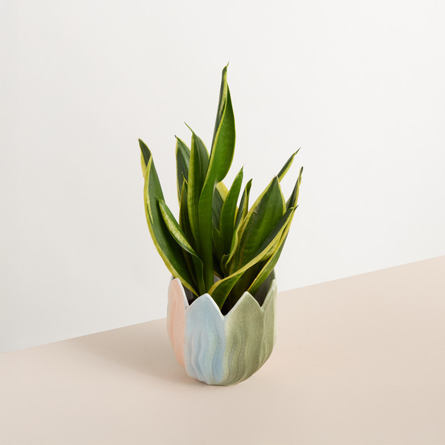 Keramik Übertopf Blüte von BLUME2000 in Bunt, Höhe: 17 cm, Breite: 13 cm, Tiefe: 16 cm - Bild 1