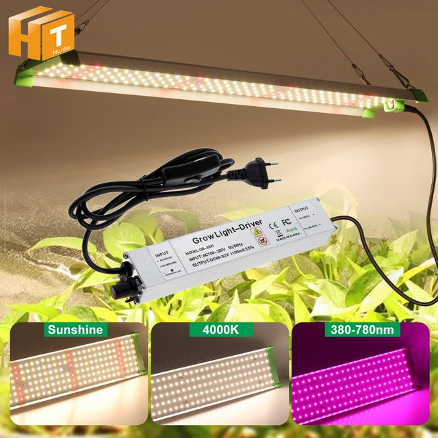 Hunta Full Spectrum LED Wachstumslicht Lm281B für Indoor Gewächshaus und Hydrokultur - Bild 1