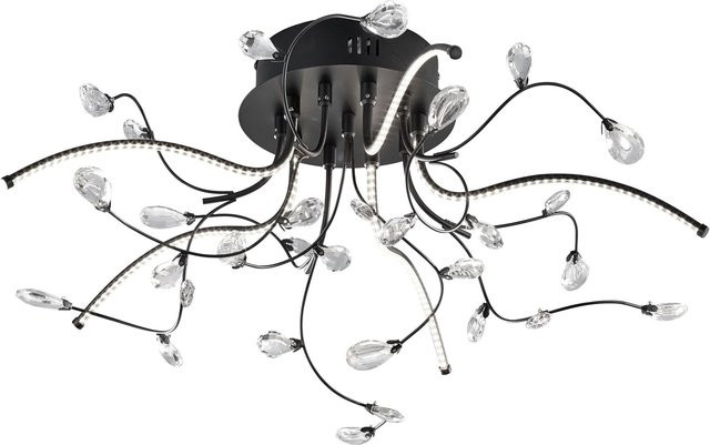 HELL Crystal 70326 LED-Deckenleuchte in Schwarz mit transparentem Glas und warmweißem Licht (3000K) - Bild 1