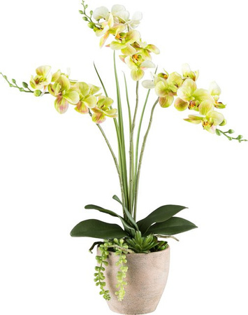 GASPER Kunstpflanze Phalaenopsis Orchidee in Weiß und Grün für den Tisch