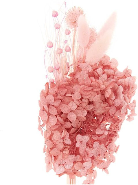 Rico Design Trockenblumenstrauß aus Naturmaterial in Pastell-Pink, Höhe: 30 cm - Bild 1