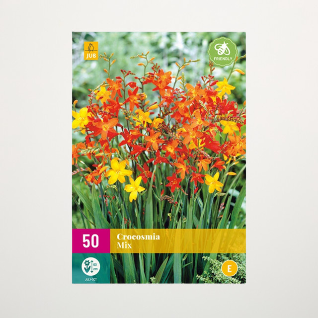 Montbretien Mix Knollen von BLUME2000 für Steingärten, Staudenbeete, Kübel, Balkon und Terrasse, 50 Stück - Bild 1