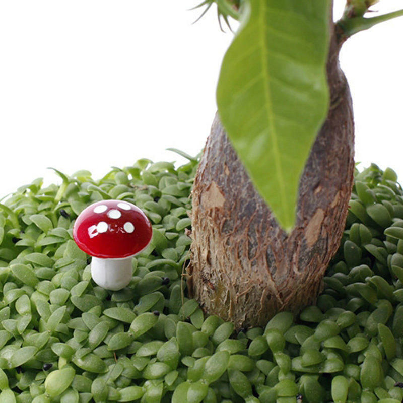 10 Stück Mini rote Pilz Deko-Ornamente von Happy Day aus Kunstharz und Schaum für Bonsai und Garten DIY-Handwerk - Bild 3