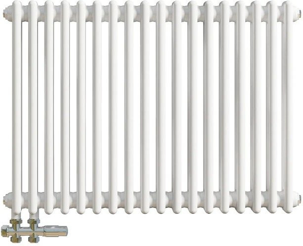 Duschparadies Traditioneller Heizkörper in Gusseisen-Optik mit 2 Säulen, Weiß, B/H: 60,0 x 83,0 cm - Bild 1