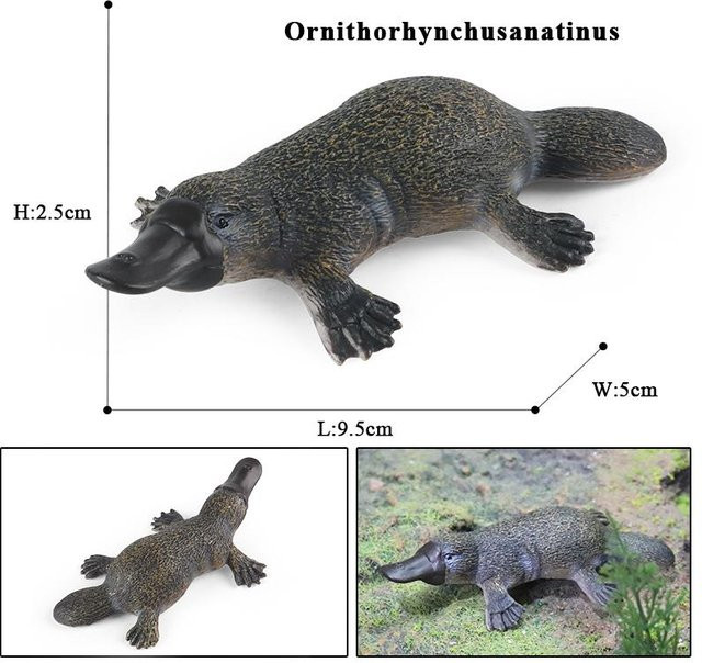 Oenux Australische Wildtiere Kängurus Koala Schnabeltier Tasmanischer Teufel Ameisenigel Kasuar Modell Figur 3-6 Jahre - Bild 1