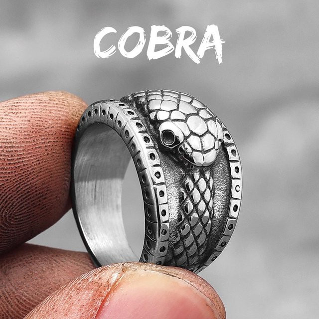 YIRAN Jewelry Ring Ouroboros Schlange, Edelstahl, Silber, Unisex - Bild 1