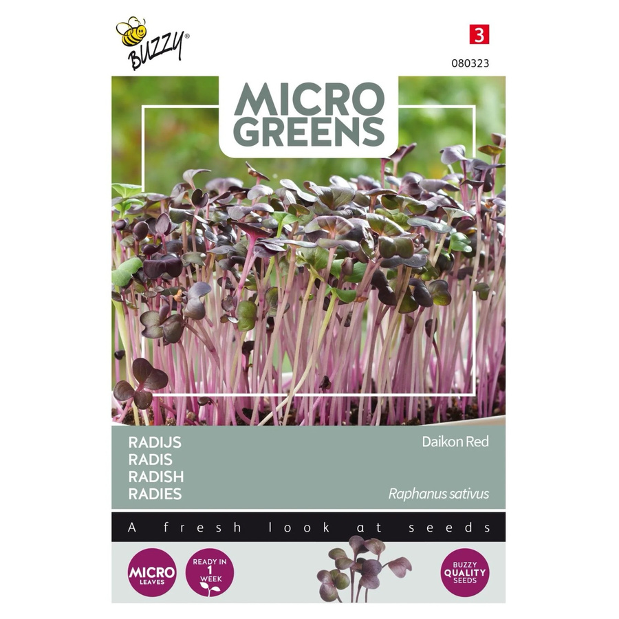 Buzzy Microgreens Radies Daikon Rot Samen 5 g - Bild 2