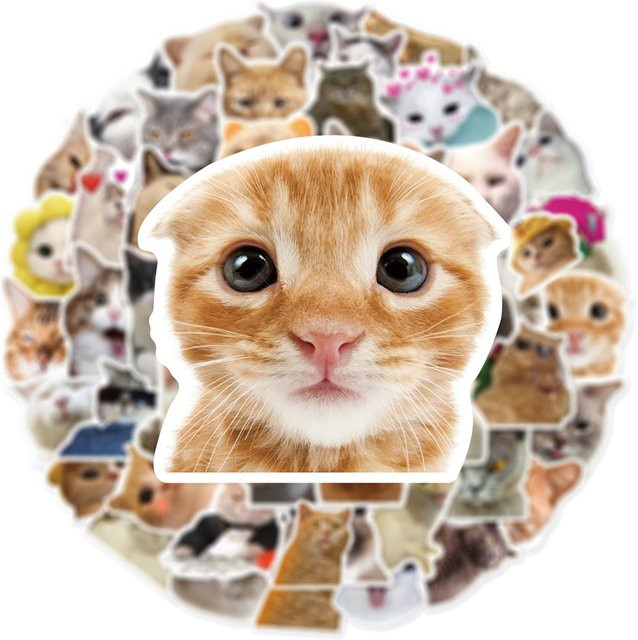 Rspctou Lustige Katzen-Tier-Meme Sticker Set in Multicolor für Skateboard, Gepäck und Handyhülle - Bild 1