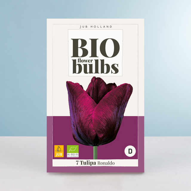 BIO Tulpe Ronaldo mit 7 Zwiebeln für Gartenbeete und Blumenkübel - Bild 1