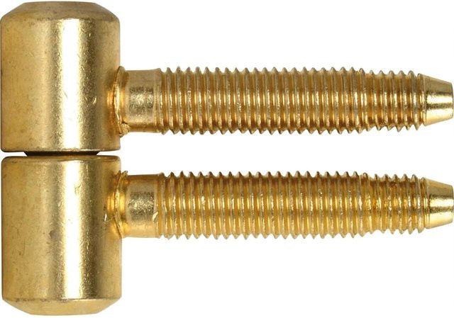 SFS Einbohrband Türband aus Stahl mit Zylinderkopf und 3-Stufengewinde in Gold/Vermessingt, Durchmesser: 14,5 mm - Bild 1