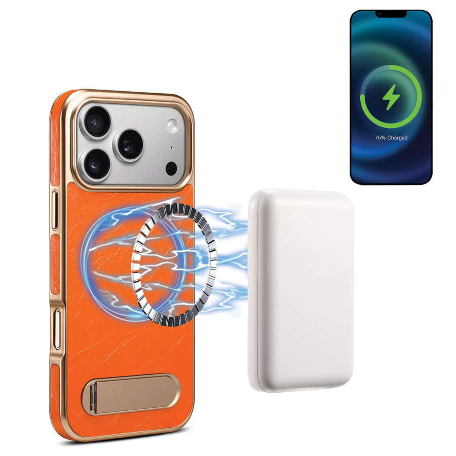 Denior Leder Handyhülle mit magnetischer kabelloser Ladung und versteckter Halterung für iPhone 17 16 15 14 13 Pro Max Plus Air in Blau - Bild 3
