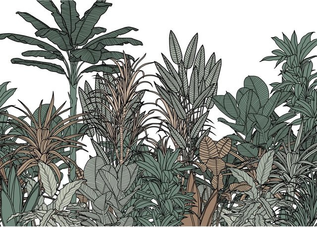 Komar Fototapete Vlies Doodle Plants Color in Multicolour, Breite: 350 cm, Höhe: 250 cm - Bild 1