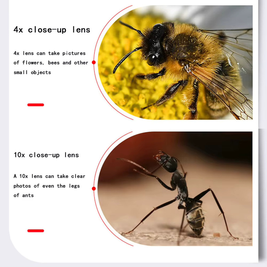 MYOBO Makro-Close-Up-Objektivfilter Set in Schwarz mit den Stufen +1, +2, +4 und +10 für DSLR-Spiegelreflexkameras in den Gewindegrößen 37 mm bis 82 mm - Bild 5