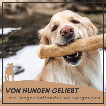 Supravit Kaffeeholz, Kauspielzeug für Hunde, Größe L - Bild 2