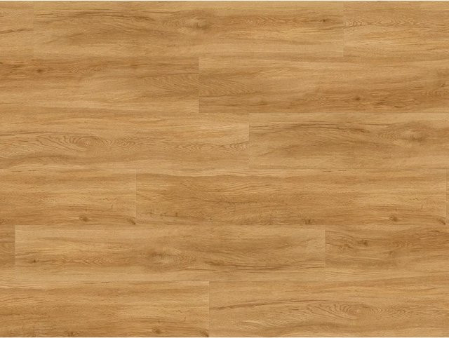 Parador Vinylbodenmuster Basic 30 Eiche Sierra Natur in Braun - Bild 1
