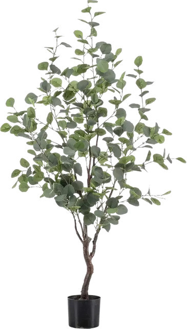 Künstlicher Eucalyptus Baum Christopher von Aplanta, Höhe: 120 cm - Bild 1