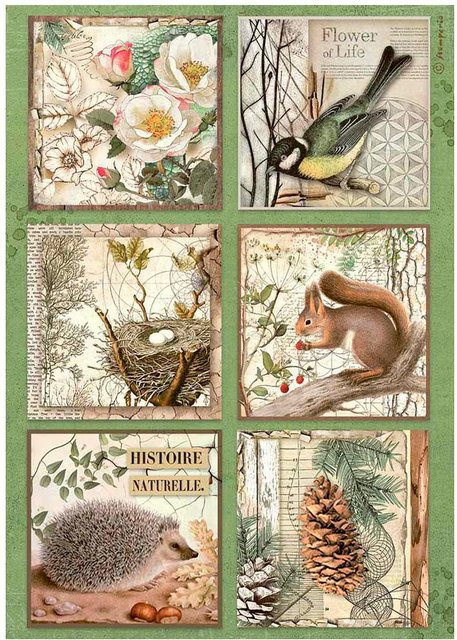 Stamperia Motiv-Strohseide Forest in Multicolor, A4 - Bild 1