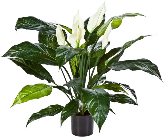 Künstliche Pflanze Aplanta Spathiphyllum Big-Luna in Grün, Höhe: 73 cm - Bild 1