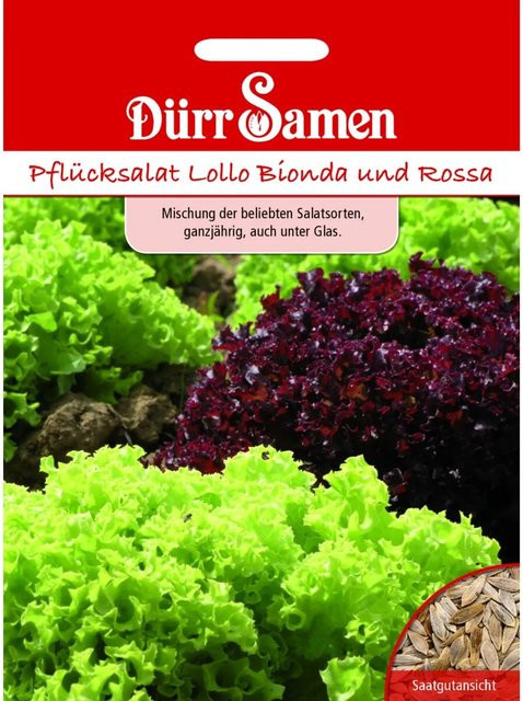 Dürr Pflücksalat Lollo Mischung Bionda + Rossa Saatgut 500 g - Bild 1