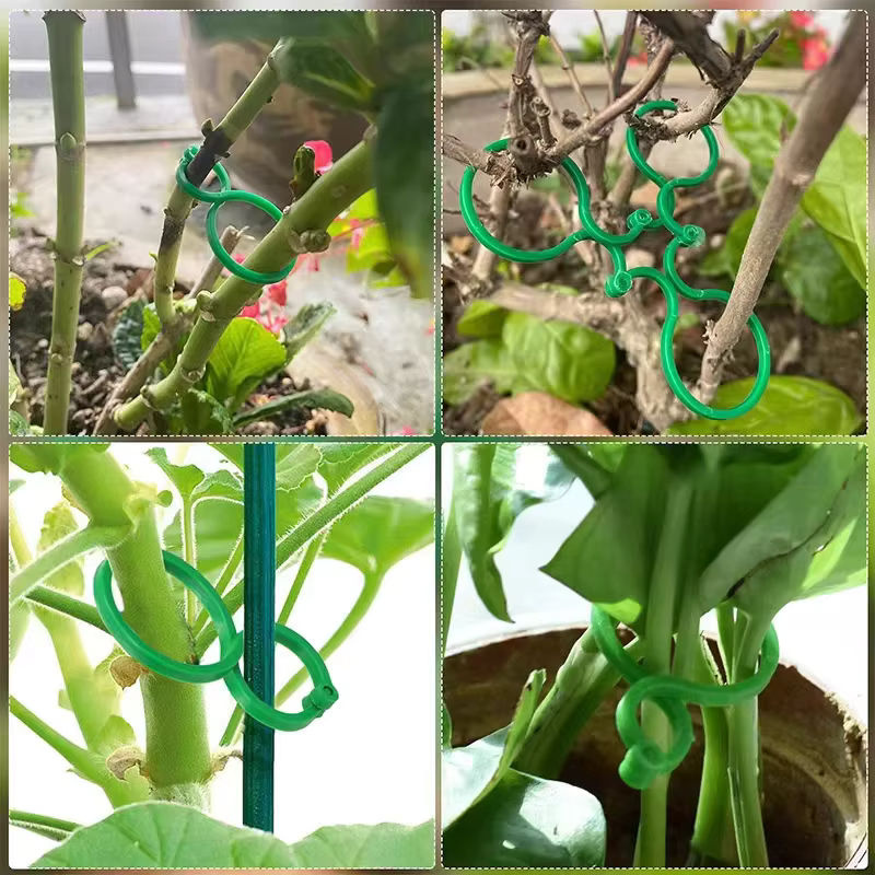 Grüne Kunststoff Reben Umreifung Clips zur Unterstützung wachsender Pflanzen als Halter für die Gartenarbeit - Bild 6