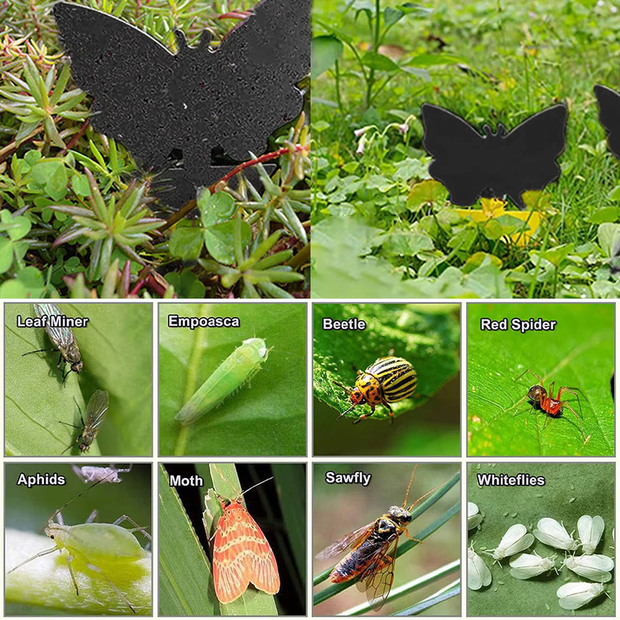 12 Stück Klebrige Fliegenfallen zur Schädlingsbekämpfung für den Garten in Schwarz - Bild 2