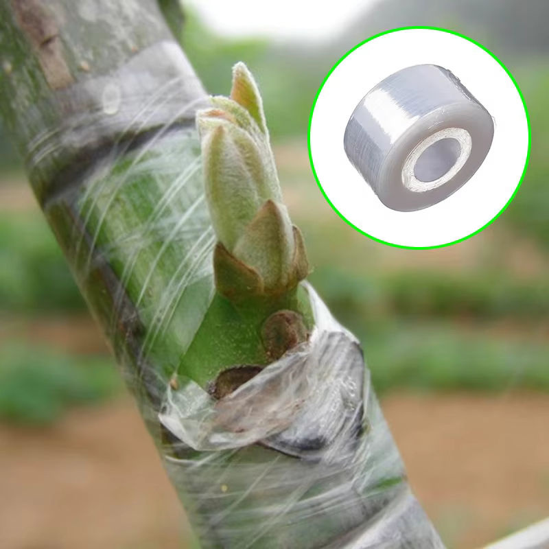 Selbstklebendes elastisches Pflanzenklebeband in Transparent für Gärten, Setzlinge und Pflanzen, Länge: 200 m - Bild 3
