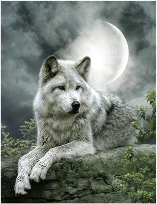 FIYO Diamond Painting Set Wolf Motiv in Grau, 5D Diamant Stickerei mit Tierprint als Dekoration, B/H: 20 x 30 cm - Bild 1