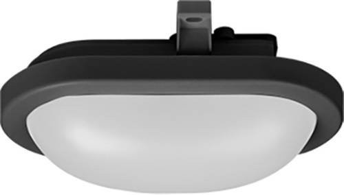 Mlight 81-4183 LED-Deckenleuchte mit integriertem LED in Schwarz, 12W, 4000K - Bild 1