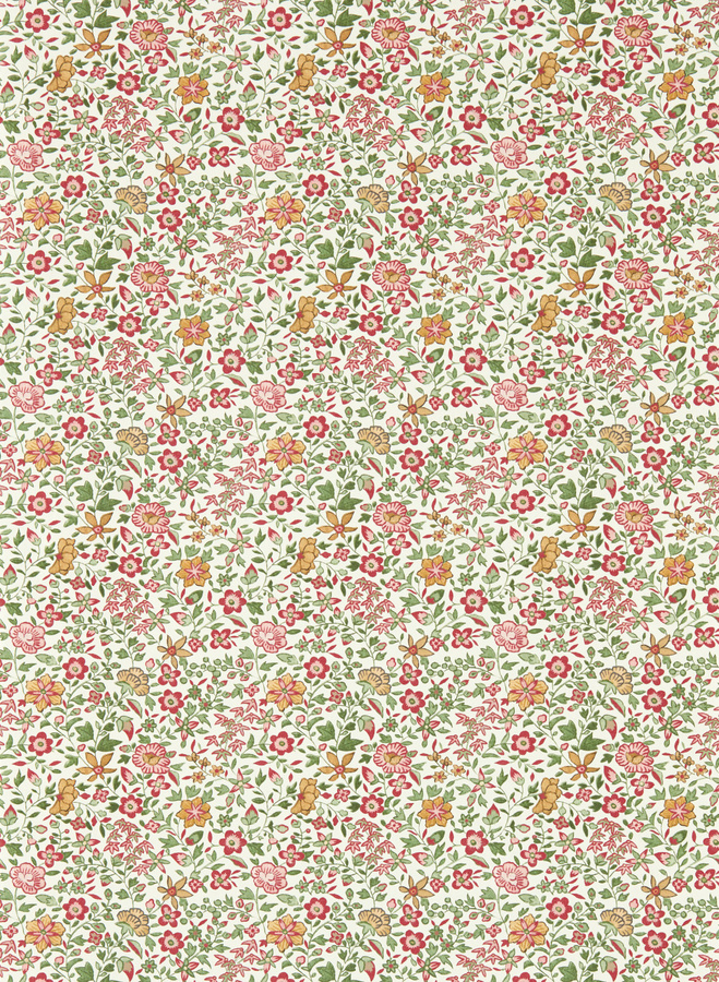 Clarke & Clarke Wallpaper Gamthi Vlies Tapete mit floralem Botanical Design in Sage, Blush und Multicolour - Bild 1