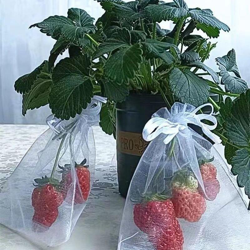 WIKHOSTAR Obstschutzbeutel aus Mesh zur Schädlingsbekämpfung und als Anti-Vogel-Schutz für Trauben und Gartenobst - Bild 6