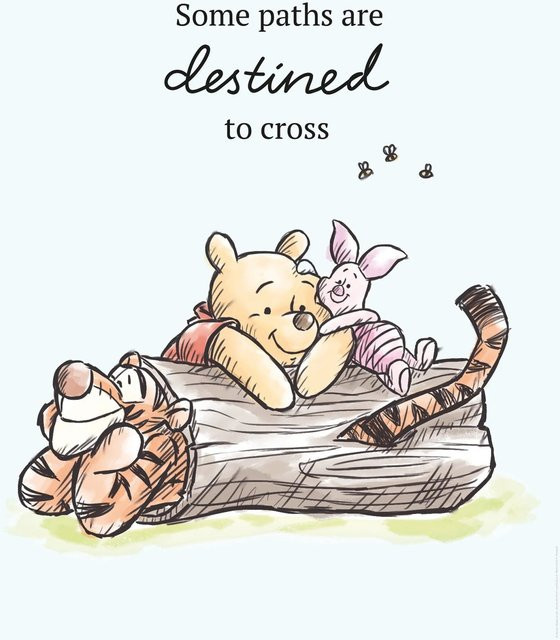 Komar Wandbild Winnie Pooh Path Paper Poster Multicolor B: 50 cm, H: 70 cm - Bild 1