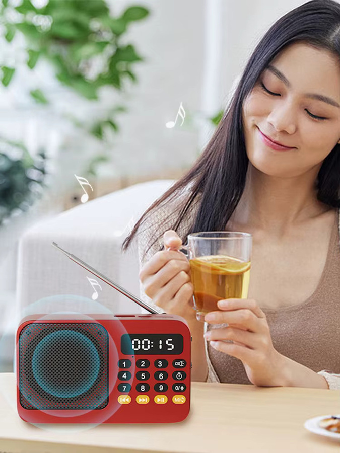 Tragbares TIMOTRAS Outdoor Radio und MP3 Player mit LED Display, FM, USB und TF, Schwarz - Bild 7