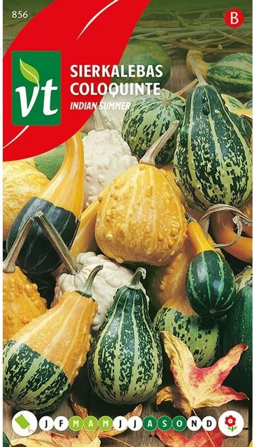Arborix Zierkürbis Indian Summer Mix Blumensamen mit bunten Früchten, 2 g - Bild 1