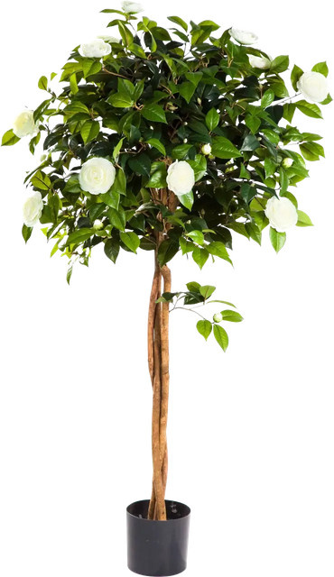 Künstlicher Kamelienbaum Pina von artplants in Grün, Höhe: 160 cm - Bild 1