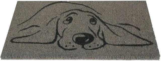 Bestlivings Kokos Fußmatte Grau mit Hundemotiv B: 50 cm, T: 25 cm - Bild 1