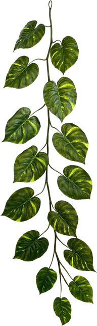 Aplanta Künstliche Monstera Girlande Green Plant, Länge: 230 cm - Bild 1