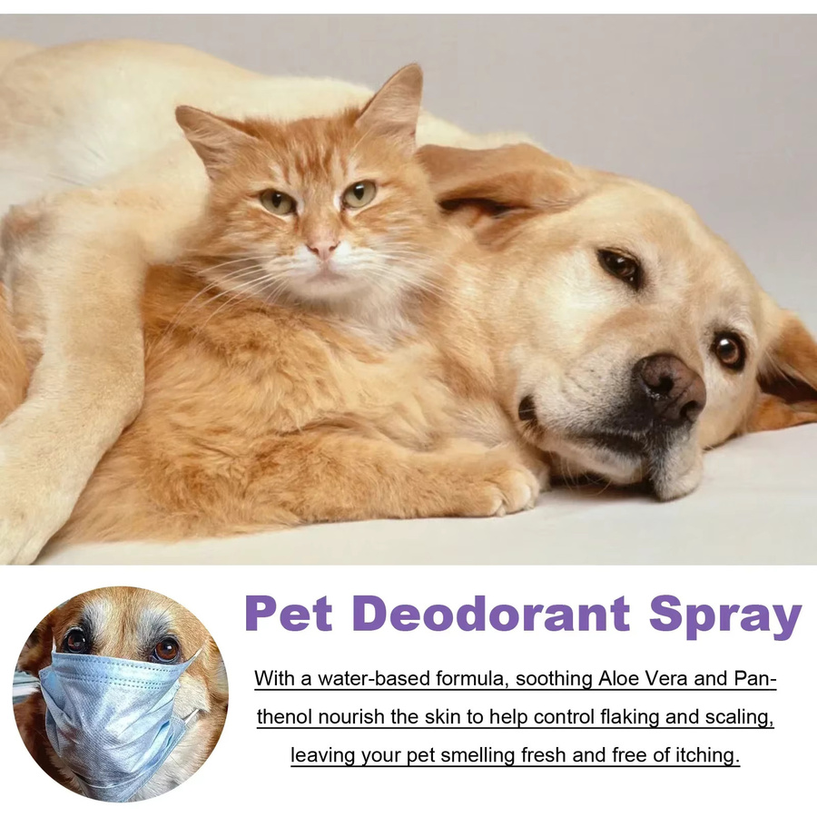 DUTRIEUX Desodorierungsspray Lavendelöl, 50 ml, für Hunde und Katzen - Bild 4